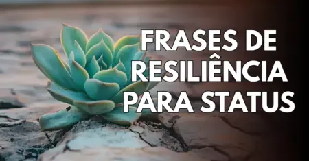 Frases de Resiliência para Status