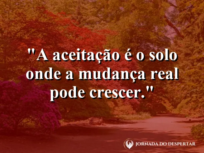 Mãos plantando uma pequena muda na terra úmida.