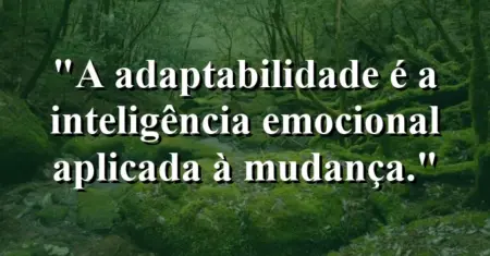 “A adaptabilidade é a inteligência emocional aplicada à mudança.”