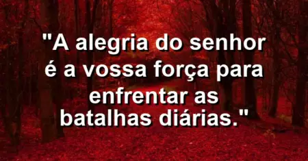 “A alegria do Senhor é a vossa força para enfrentar as batalhas diárias.”