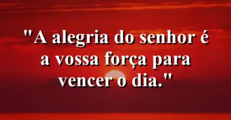 “A alegria do Senhor é a vossa força para vencer o dia.”