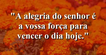 “A alegria do Senhor é a vossa força para vencer o dia hoje.”