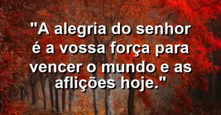 “A alegria do Senhor é a vossa força para vencer o mundo e as aflições hoje.”