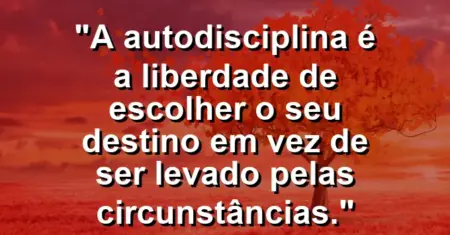 “A autodisciplina é a liberdade de escolher o seu destino em vez de ser levado pelas circunstâncias.”