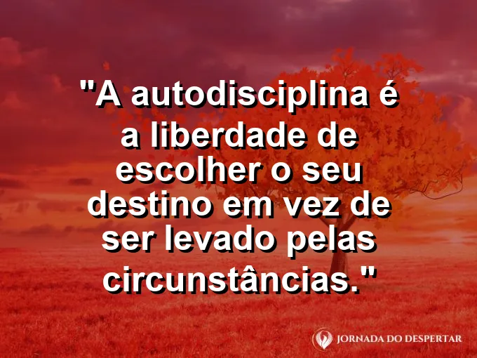 Um timão de navio sendo segurado com firmeza por mãos decididas em um mar calmo e ensolarado de verão.