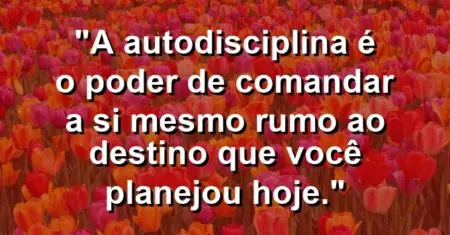 “A autodisciplina é o poder de comandar a si mesmo rumo ao destino que você planejou hoje.”