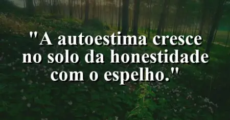 A autoestima cresce no solo da honestidade com o espelho.