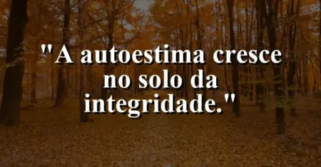 A autoestima cresce no solo da integridade.