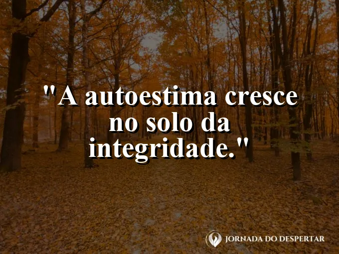 Uma árvore de raízes profundas e tronco reto e firme.