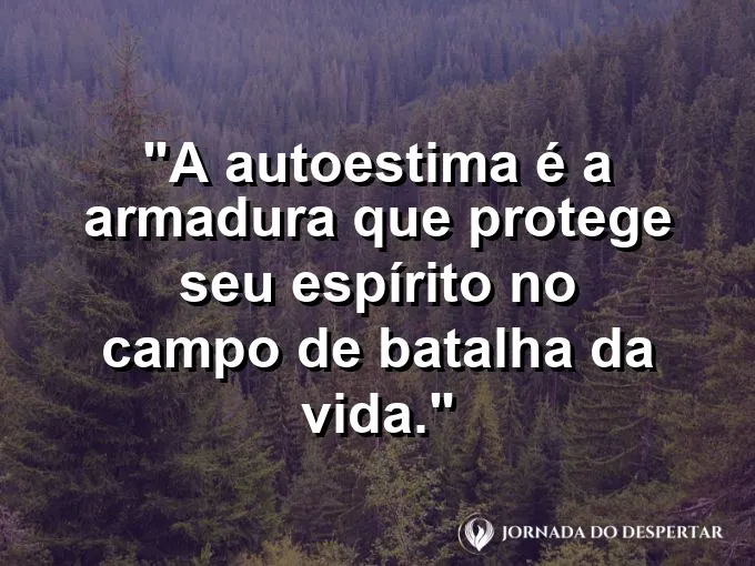 Escudo antigo decorado com símbolos de sol e luz.