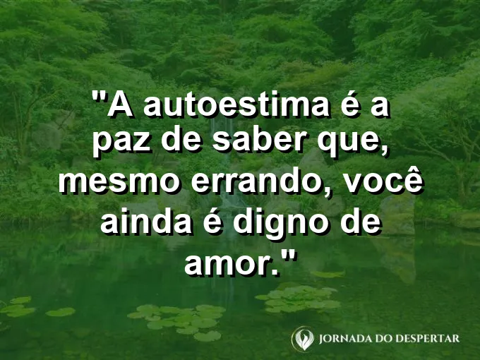 Duas mãos segurando uma muda de planta com extrema ternura.