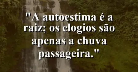 A autoestima é a raiz; os elogios são apenas a chuva passageira.
