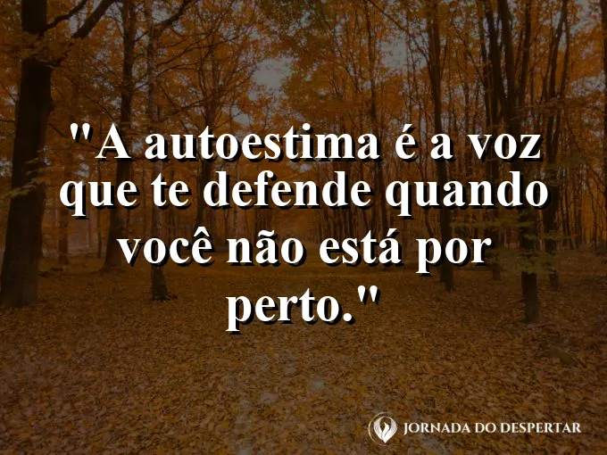 Um escudo antigo de metal com gravuras de leões.