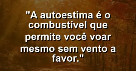 A autoestima é o combustível que permite você voar mesmo sem vento a favor.