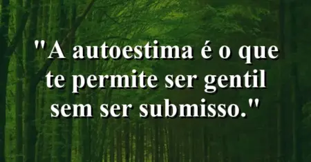 A autoestima é o que te permite ser gentil sem ser submisso.