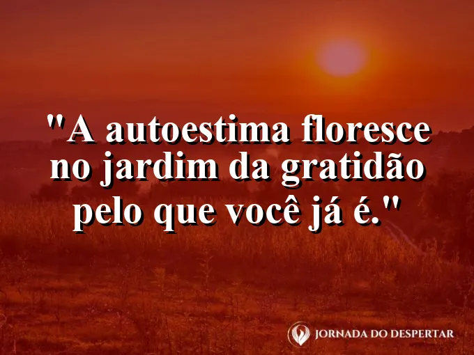 Um jardim colorido com flores de diversas espécies e tamanhos.