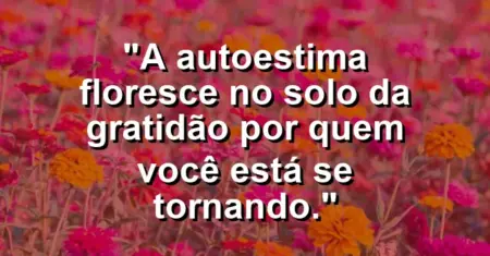 A autoestima floresce no solo da gratidão por quem você está se tornando.