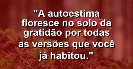 A autoestima floresce no solo da gratidão por todas as versões que você já habitou.