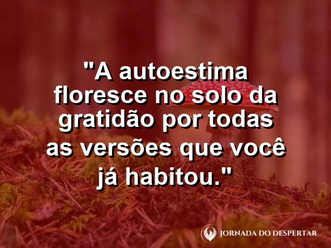 Álbum de fotos aberto com luz solar incidindo sobre as imagens.