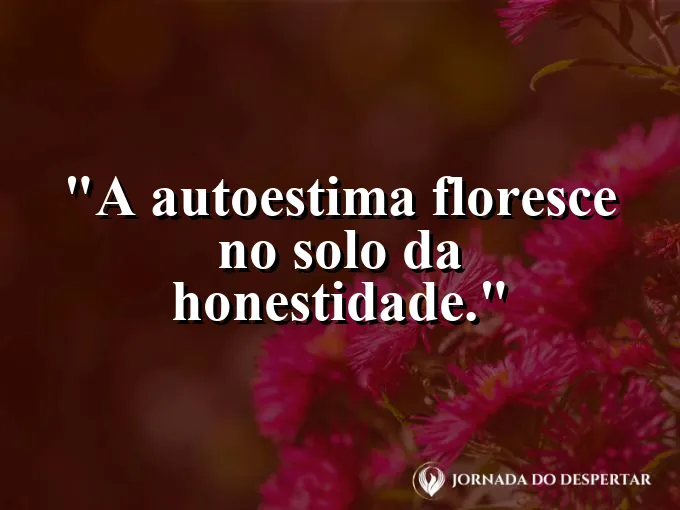 Muda de planta crescendo em terra fértil e escura sob luz direta.