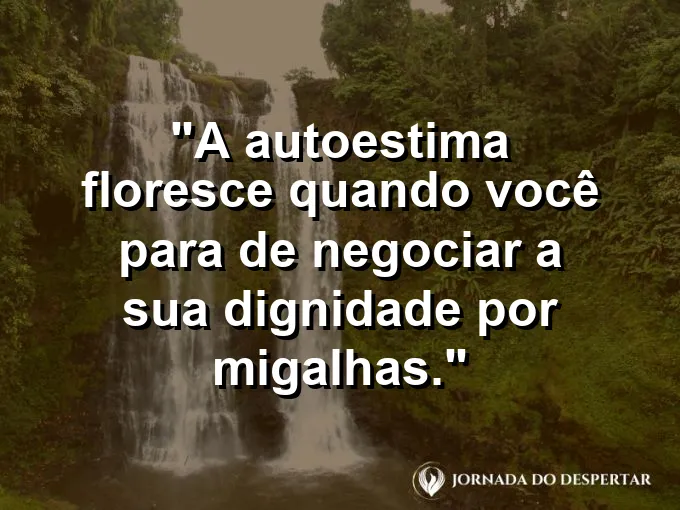 Uma flor solitária e majestosa crescendo no topo de uma montanha.