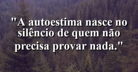 A autoestima nasce no silêncio de quem não precisa provar nada.