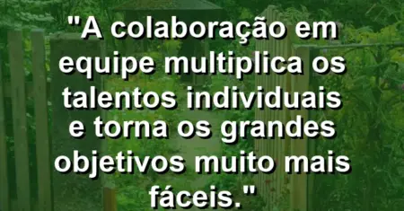 “A colaboração em equipe multiplica os talentos individuais e torna os grandes objetivos muito mais fáceis.”