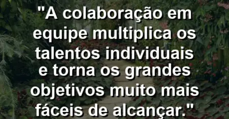 “A colaboração em equipe multiplica os talentos individuais e torna os grandes objetivos muito mais fáceis de alcançar.”