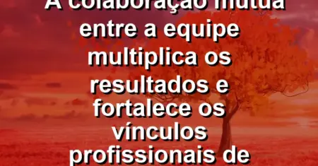 “A colaboração mútua entre a equipe multiplica os resultados e fortalece os vínculos profissionais de confiança.”