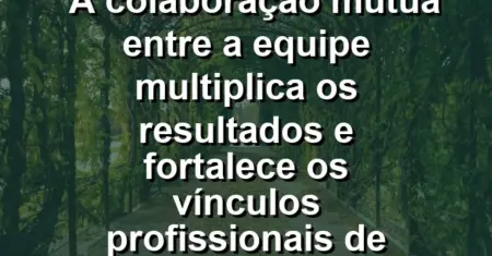 “A colaboração mútua entre a equipe multiplica os resultados e fortalece os vínculos profissionais de confiança real.”