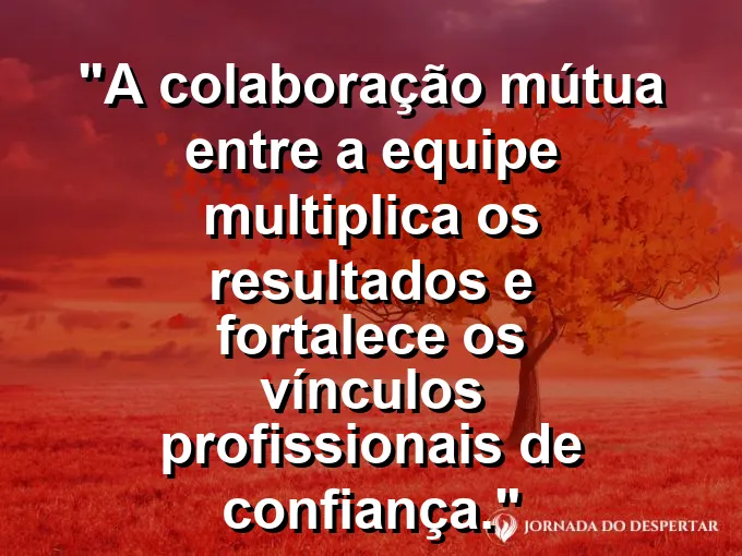 Mãos de diversas pessoas diferentes se unindo para sustentar um projeto comum sobre uma mesa de madeira.
