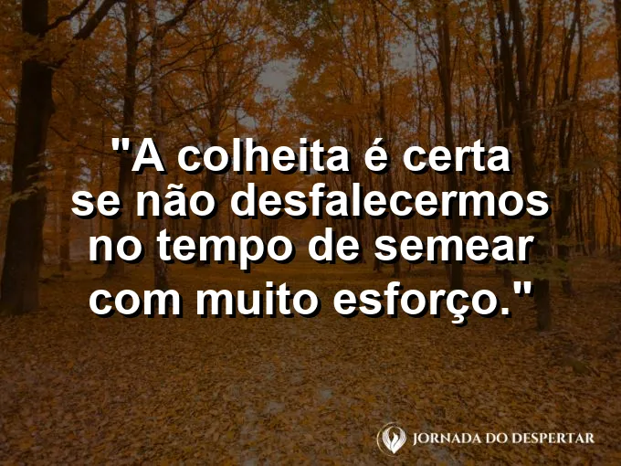 Homem semeando em campo fértil com frase bíblica sobre a certeza da colheita no futuro.