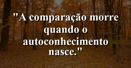 A comparação morre quando o autoconhecimento nasce.