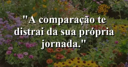 A comparação te distrai da sua própria jornada.