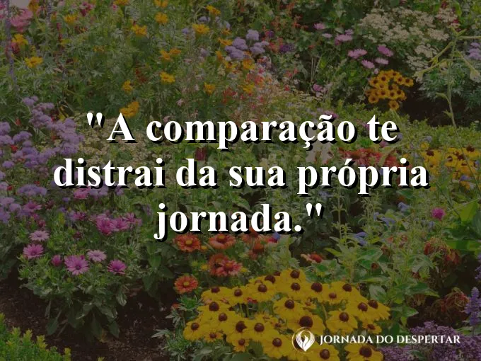 Frase sobre autoconhecimento e autoestima: A comparação te distrai da sua própria jornada.