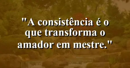 A consistência é o que transforma o amador em mestre.