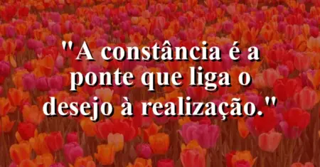 A constância é a ponte que liga o desejo à realização.