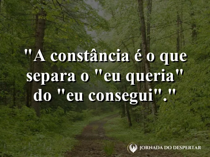 Uma trilha bem marcada em meio a um campo de grama alta.