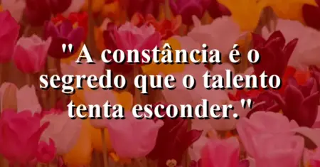 A constância é o segredo que o talento tenta esconder.