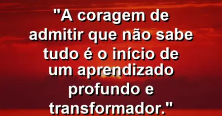 “A coragem de admitir que não sabe tudo é o início de um aprendizado profundo e transformador.”