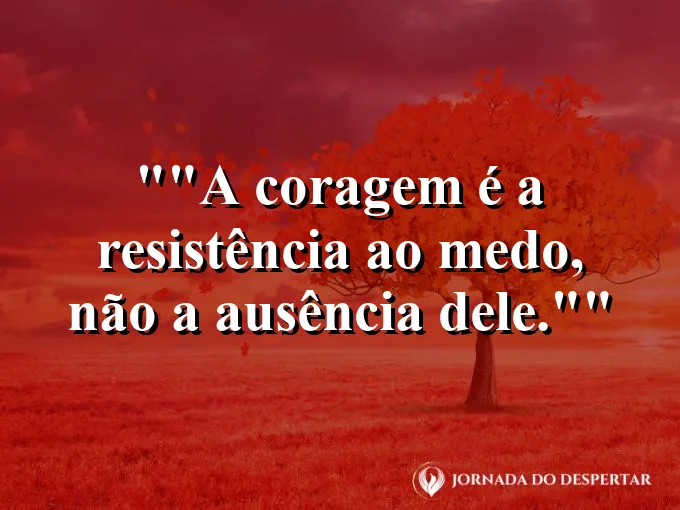 Leão olhando calmamente para o horizonte.