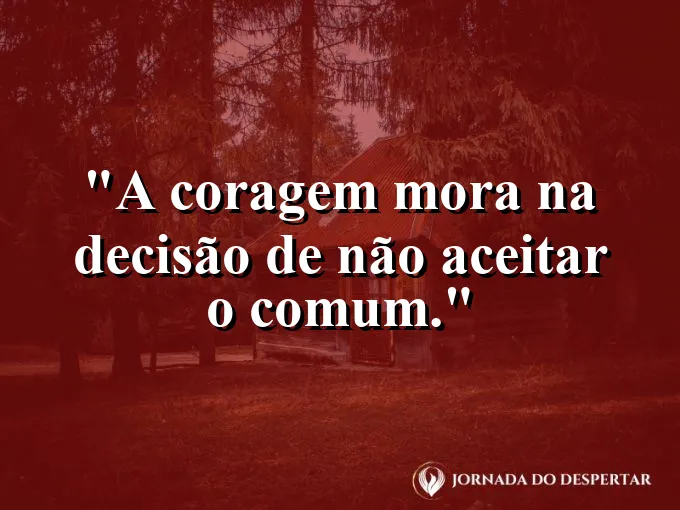 Águia voando solitária muito acima das outras aves.