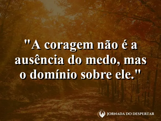 Alguém atravessando uma ponte suspensa em uma floresta.