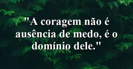 A coragem não é ausência de medo, é o domínio dele.