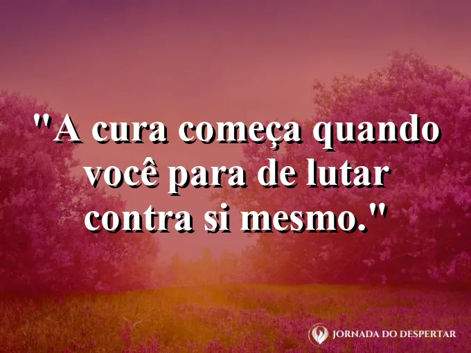 Duas mãos se dando um aperto de mão simbolizando a paz.