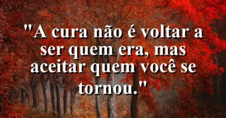A cura não é voltar a ser quem era, mas aceitar quem você se tornou.