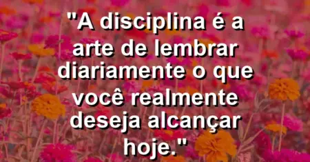 “A disciplina é a arte de lembrar diariamente o que você realmente deseja alcançar hoje.”