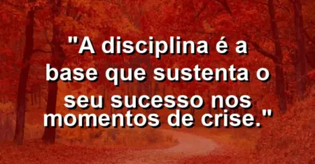 “A disciplina é a base que sustenta o seu sucesso nos momentos de crise.”
