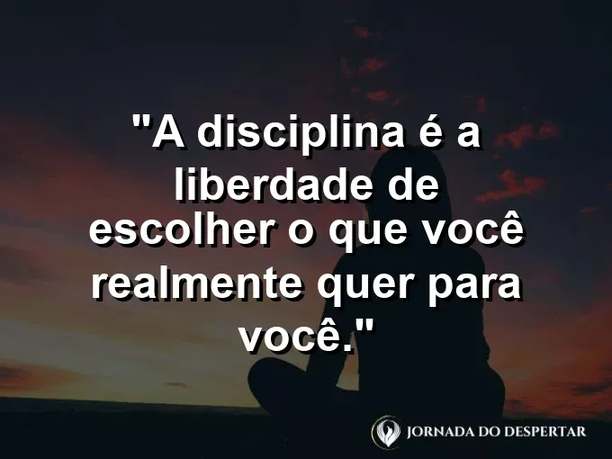 Pássaro saindo de uma gaiola aberta com frase sobre disciplina e liberdade.