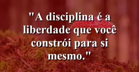 A disciplina é a liberdade que você constrói para si mesmo.